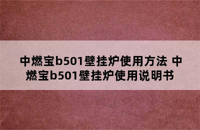 中燃宝b501壁挂炉使用方法 中燃宝b501壁挂炉使用说明书